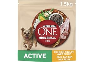 PURINA ONE | MINI | ACTIVE | Croquettes pour Chien Adulte Actif de petite taille, <10 Kg | Protéines de haute qualité pour aider à soutenir des muscles forts | Au Poulet | Sac | Lot de 6 x 1,5 Kg