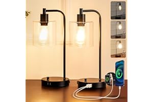 Homelist Dimmable Bedside Lamps Set of 2, Industrial Retro with USB Charging Ports, Black Modern LED Nightstand Desk Beside Table Lamp, Glass Shade for Bedroom Living Room Home Office, Bulb Included