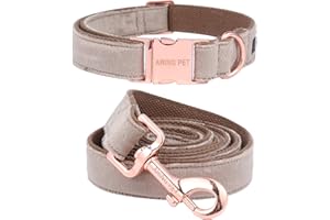ARING PET Hundehalsband und Leine Set, Velvet Hundehalsband, Hundehalsband und Leine, verstellbares Hundehalsband für kleine mittelgroße Hunde.