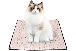 DISNACE Tappetino Raffreddamento Cane, 64 * 48 cm Morbido Materassino per Cane, Auto Raffreddamento su Entrambi i Lati e Traspirante, Tappetino Rinfrescante per Cani, Gatti, Animali Domestici (rosa)