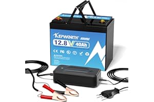 FLLEEYPOWER Batteria al litio ricaricabile a ciclo profondo da 12V 40Ah LiFePO4, BMS integrato, utilizzata per camper, sistemi di allarme, alimentatori di backup, radio