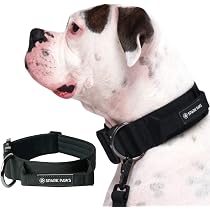 Spark Paws Premium Hundeleine Mit Kotbeutel – Extra Stabil Für Starke Hunde!