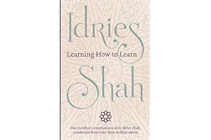 Learning How to Learn