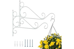 Nuptio 2 Piezas Soporte para Cesta Colgante Blanco, 30cm Longitud, Soportes para Colgar Pared, Ganchos, Soporte para Plantas Colgantes, Ganchos para Colgar Jardín, Soporte para Exteriores