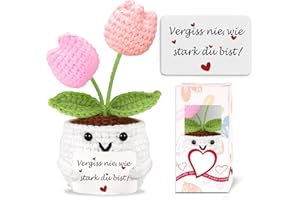 BIGNOSEDEER Geschenke für Frauen Gehäkelte Blumen Geburtstagsgeschenk für Frauen Kleines Glücksbringer Gute Besserung Geschenke Pocket Hug Mutmacher Geschenk Freundin Schwester Kollegin Mädchen Adventskalender