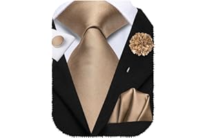 Hi-Tie Cravatte di seta per gli uomini 4PCS Cravatte da uomo e fiore risvolto Pin Pocket Square Gemelli Set Cravatte Designer