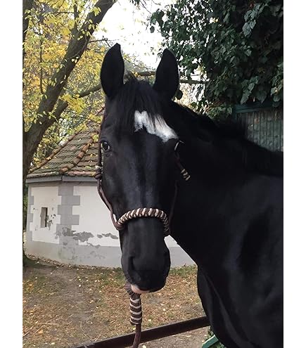 Corda Per Pavimento E Scacciatoia Amesbichler - Cotone E Pelle Naturale, 7m, Per Equitazione - Foto 6