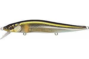 (Megabass) Vision ONETEN()