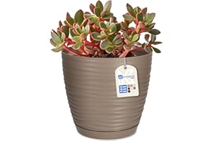 KADAX Doniczka z podstawką, donica na kwiaty do wnętrz, lekka donica z tworzywa sztucznego, ozdobna donica na kwiaty, do domu, pokoju, 15 cm, beżowa