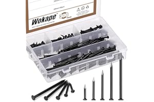 Wokape Kit di 301 chiodi assortiti in acciaio, 20 mm, 30 mm, 40 mm, 50 mm, 60 mm, multicolore zincato, chiodi da parete per appendere quadri, chiodi piccoli, chiodi in legno (nero)