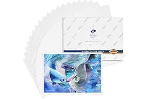Paul Rubens Papier aquarelle de qualité artistique, papier à peindre, sans acide, pressé à froid, 100 % coton, 300 g/m², 20 feuilles, fournitures d'artiste, dessin aquarelle pour débutants et artistes