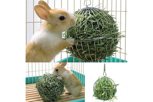 Huhuswwbin Mâcher Jouets, Creux de la Sphère Lapin Distributeur de Fil d'acier Inoxydable pour Animal Domestique Jouet Balle avec chaîne Crochet – Argent