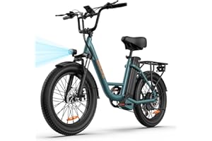 URLIFE Bicicletta Elettrica 20 * 3" Fat Tire Per Adulti, 7 Velocità Bici Elettrica da 48V 13Ah Batteria Rimovibile, Autonomia bis zu 100km E-bike Per Pendolari Urbani con Display LCD Colorato