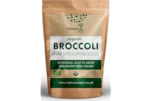 Natures Root Organic Broccoli Sprouting Seeds 250g - Superfood | Non GMO | Microgreen Sprouts