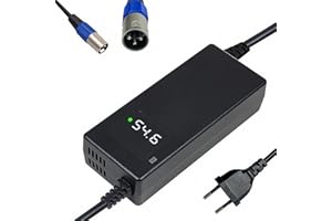 YANGZIDIANYUAN Cargador batería 54,6V 2A, para batería de Litio de 48V, con Pantalla LED y múltiples Funciones de protección y reparación, Certificado CE, Equipado con Conector de Pines XLR