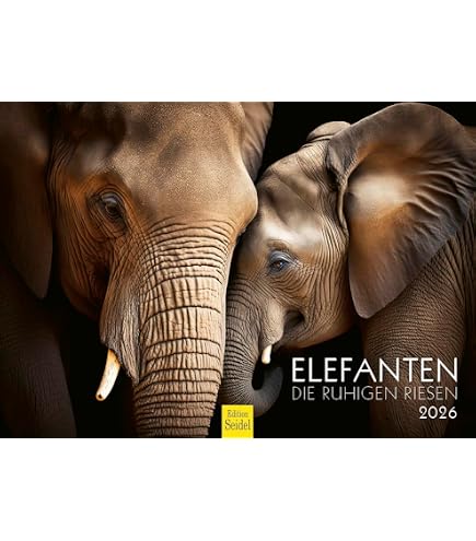 Joodse wandkalender | 5786 (2025-2026) | Duits Joodse wandkalender | 5786 (2025-2026) | Duits
