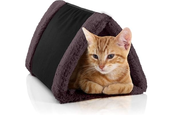 kitten beds amazon
