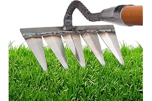 Eteslot Rateau Desherbage, Désherbage Révolutionnaire, Le Rateau Robuste Desherbage, Jardioui Rateau, Râteau pour Déchaumer La Pelouse | Outil Jardinage