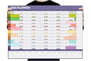 Evelay 2025 Wall Planner Calendar A1 84cm x 59cm Full Year to view Home Office Schools