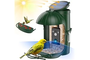 COZION Mangiatoia per Uccelli Intelligente con Telecamera - Alimentazione Solare,Alimentatore per Uccelli Aelvatici con Fotocamera, Registrazione Automatica di Video&Foto1080P HD-32GB,Mangiatoie per Uccelli