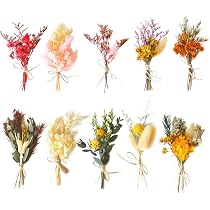Lot De 6 Mini Bouquets Fleurs Séchées - Décorations Naturelles Pour Mariage, DIY, Déco Maison...