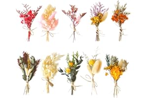 Lithyc 10 Piezas Flores Secas Manualidades - Flores Secas Decorativas - Adecuado para Jarrones,Manualidades,Ramilletes,Bodas,DecoracióN De Atrezzo FotográFico DIY