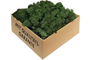 GJS Islandmoos - konserviertes Moos zum Basteln, Deko & DIY für künstliche Bilder, Pflanzen-Wand, Kunst, Modellbau sowie Oster- (Gras, Nest) & Weihnachtsdeko (Krippe, Adventskranz) (dunkelgrün, 1 kg)