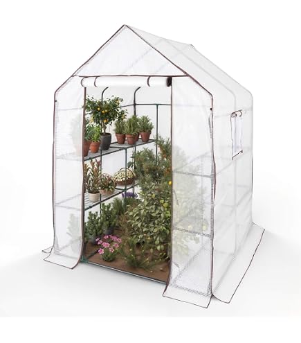 Outsunny Begehbares Gewächshaus Mit 4 Regalen – 120 X 186 X 190 Cm, Verstärkte PE-Abdeckung, Rolltür, Für Garten & Pflanzen