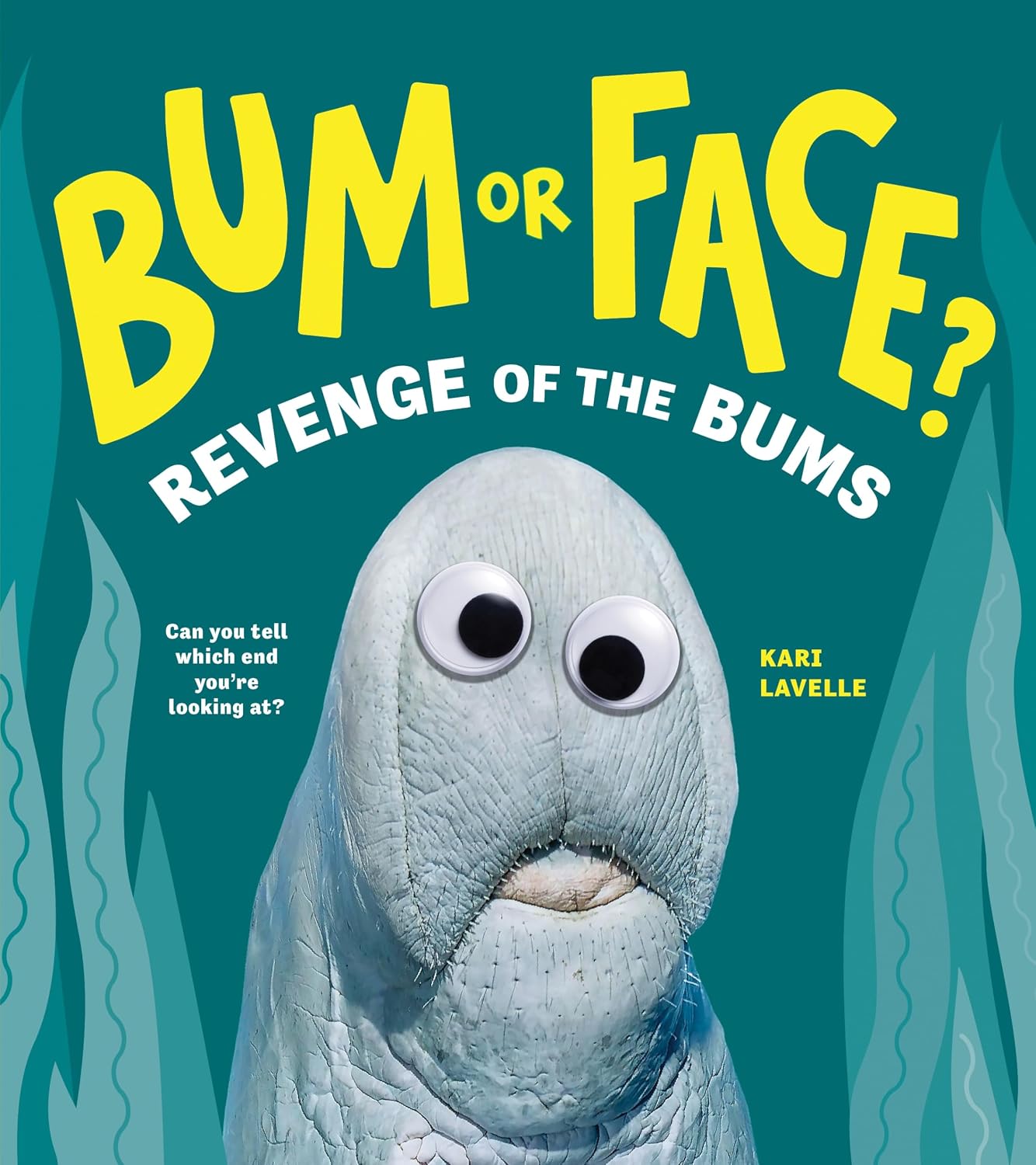 Bum or Face - Détails et caractéristiques