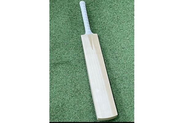 English Willow Cricket Bat for Men and Women Full Size Short Handle Lightweight Free Cover