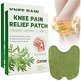 Holilo Knee Pain Relief Patch, 40 Patches Knee Pain, Wormwood Pain Relief Patches for Inflammation of Knee, Back, Shoulders a