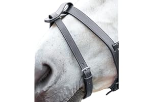 Shires Velociti GARA Flash Strap