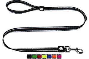 DDOXX Guinzaglio Cani Air Mesh, Riflettente, Imbottito, 120 cm | Tanti Colori e Taglie | Per Cani Piccoli Medi Grandi | Guinzaglio Cane Gatto Cucciolo Taglia Piccola Media Grande | Nero, M