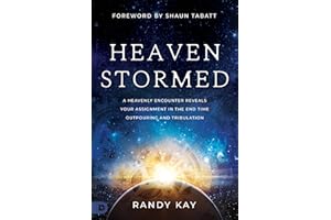 Heaven Stormed: A Heavenly Encounter Reveals Your Assignment in the End Time Outpouring and Tribulation (An NDE Collection)