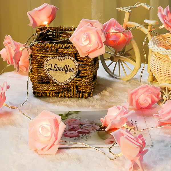 Dioche Rose Lichterkette – 3 M, 20 LED, Künstliche Blumen, USB, Warmweiß, Für Deko & Feiern