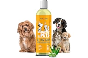 FIRSTPAW 500ML Shampooing pour Chiens, Chiots et Chats, à l'aloe Vera, Peaux sensibles, pour Poils Courts et Longs, Hydrate, désodorise & Rend Les Poils Doux et Brillants