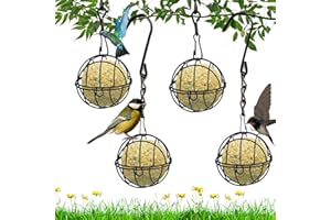DINHAUYON 4 Pezzi Mangiatoia Uccellini Selvatici Sospeso, Mangiatoia per Palle Grasso con 4 Gancio Forma S, Mangiatoia Uccelli Metallo per Giardino Esterno, Recinzioni, Balcone, Foresta, Fringuelli (Nero)