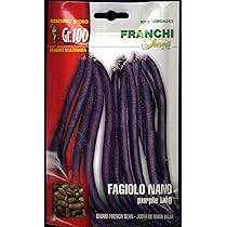 Semi Di Fagiolo Nano Purple King - 100 Grammi, Per Orto, Colore Viola, Semina Da Aprile A Luglio