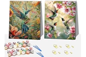 FORMEYART DIY 2 Pcs Bird Paint by Numbers for Adults,Wooden Framed Painting by Number Kits on Canvas,Acrylic Color by Numbers for Adult Beginner,Gifts Decor for Home Wall Room (Bird)