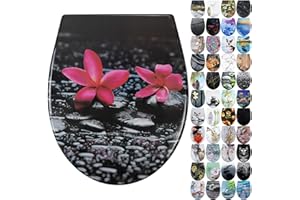 Fanmitrk Toilettendeckel, WC Sitz mit Absenkautomatik, Klodeckel mit Schnellverschluss, Duroplast Toilettensitz mit Motiv, Klobrille Montage von oben, O Form (Rote Blume)