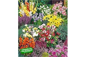 BALDUR Garten Sommerblüher Spar-Paket 100 Zwiebeln im Mix 14x Freesien-Mix, 10x Prachtscharte, 10x Gladiolen-Mix, 40x Anemone "De Caen", 10x Iris "Blue Magic", 10x Stern-Gladiole, 3x Lilie "Stargazer" und 3x Lilie "Yellow Country"