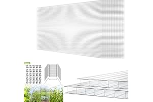 LZQ 14x lastre alveolari in policarbonato, trasparente 4 mm di spessore 60,5 x 121 cm pezzi doppie piastre di ricambio per serra da giardino, carports, resistente ai raggi UV 10,25m²