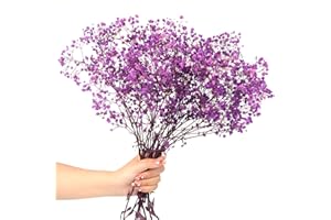SONGJUM Dried Baby's Breath Flowers Bouquet Natural Dried Flowers Baby's Breath Real Gypsophila Branches for Wedding Table Vase Party Garden DIY Wreath Floral Home Decor（Purple）