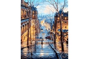 KAIETEUR Peinture par Numéros pour Adultes, Kit de Peinture à l'huile sur Toile par Numéro, pour Enfants ou débutants, avec pinceaux, Peinture Peinture à Dessin 40 x 50 cm sans Cadre