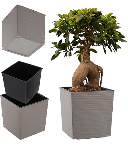 Vaso quadrato per esterni o interni 30x30x30h cm in polietilene tortora