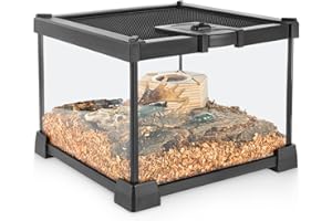 NEPTONION Mini Reptile Glass Terrarium Vivarium 8'' x 8'' x 6'' Full View Tank Small Amphibians Glass Habitat Cage with Feeding Slot & Box Lock Buckle