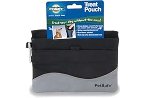 PetSafe Deporte Mini Bolsa de golosinas, Accesorio Duradero y práctico para Entrenamiento de Perros, Lona, Negro, 1 Count (Pack of 1)