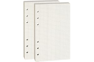 LIDWOT Lot de 2 feuilles mobiles A6 à 6 trous (80 feuilles chacune, 100 g/m², beige) – Idéal pour la prise de notes, le travail de bureau, les journaux, les projets artistiques et plus encore – Convient pour