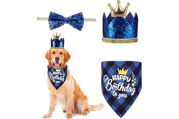 3Pcs Dog Birthday Decorations,Dog Hat,Birthday Caps, Premium Pet Party Accessories for Dogs,Festive Dog Birthday Gift