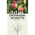 1 x 1 des Obstbaumschnitts: Bild für Bild